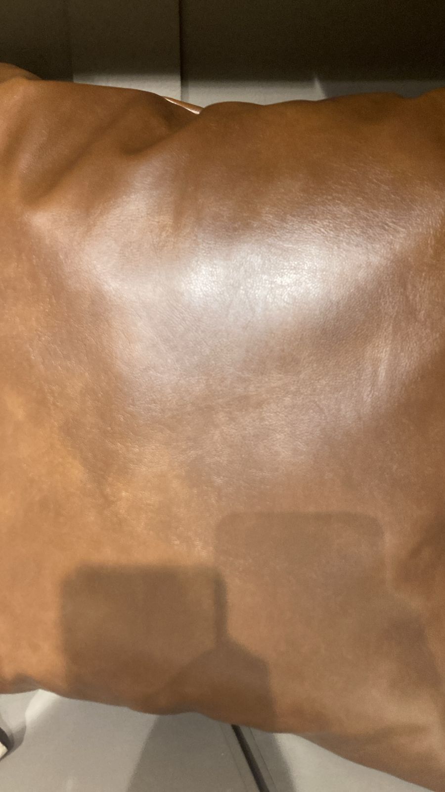 C26